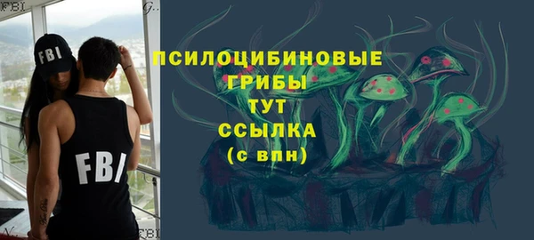 ПСИЛОЦИБИНОВЫЕ ГРИБЫ Балахна